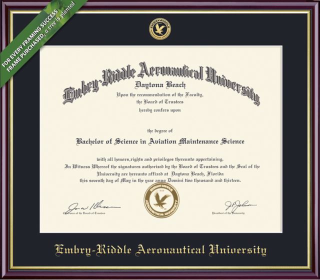 Framing Success Academic  8.5 x 11 BA/MA Diploma with Single mat