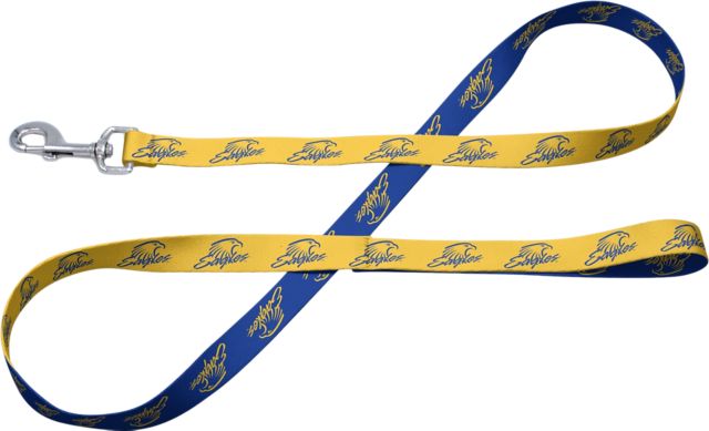 Embry Riddle Aeronautical University 1" Pet Leash