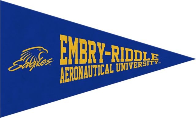 Embry Riddle Aeronautical University Mini Magnet Pennant