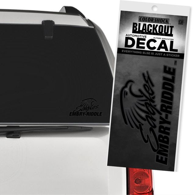 Embry Riddle Aeronautical University Eagles Decal