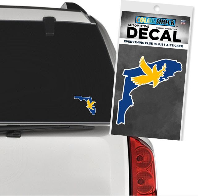 Embry Riddle Aeronautical University Decal