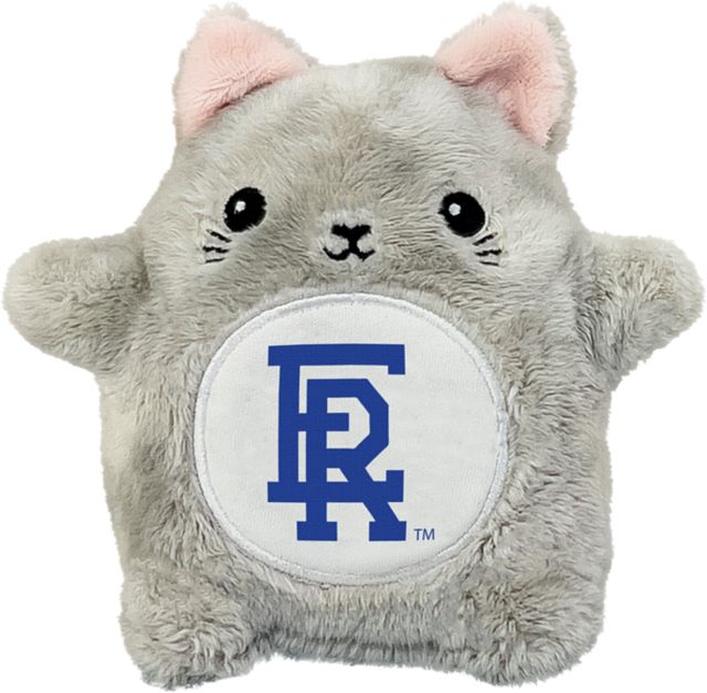 Embry Riddle Aeronautical University Eagles 4.5'' Fancake Plush