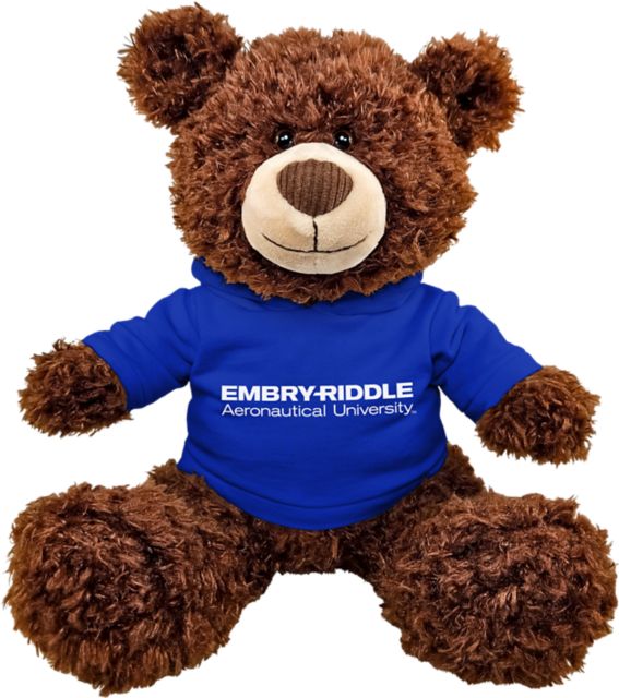 Embry Riddle Aeronautical University 11" Plush Bear