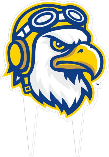 Embry Riddle Aeronautical University Eagles Garden Guard Sign