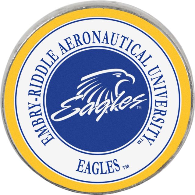 Embry Riddle Aeronautical University Foxboro Lapel Pin