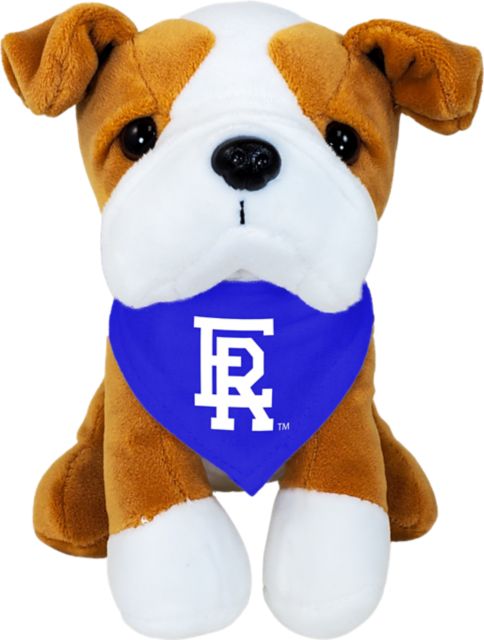 Embry Riddle Aeronautical University 6.5'' Plush