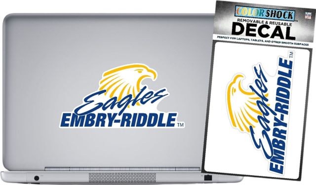 Embry Riddle Aeronautical University Eagles Decal