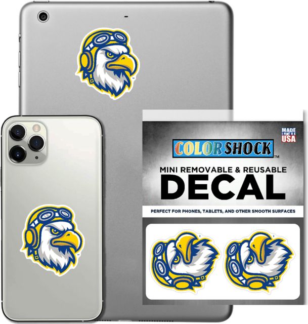 Embry Riddle Aeronautical University Eagles Laptop and Water Bottle Decals
