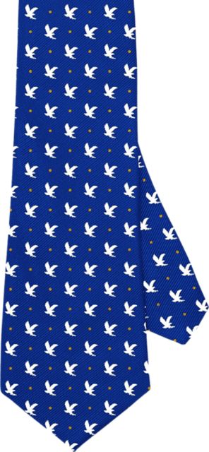 Embry Riddle Aeronautical University 56'' Silk Necktie