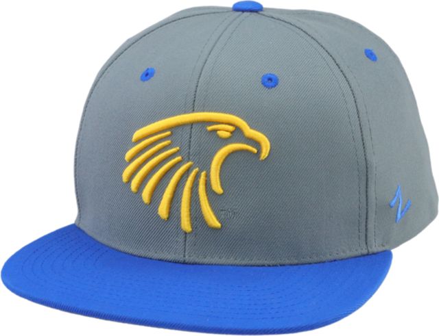 Embry Riddle Aeronautical University Eagles Snapback Cap
