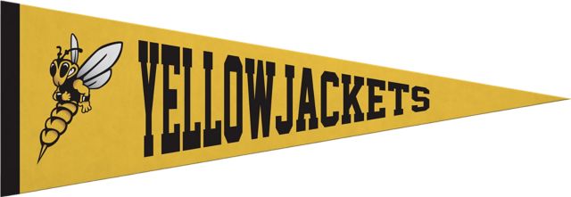 University of Wisconsin - Superior Yellowjackets 5x15 Pennant