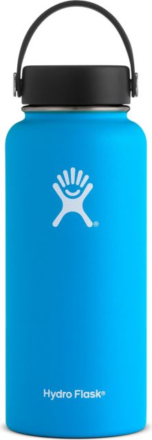 sage hydro flask 40 oz