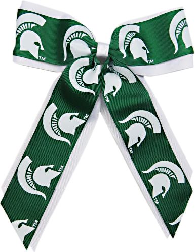 Michigan State University Child Cheer Pony