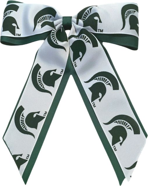 Michigan State University Child Cheer Pony