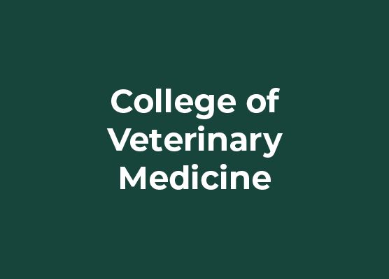 College of Veterinary Medicine