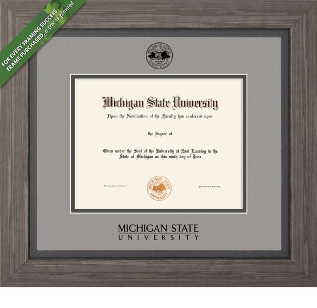 Framing Success Greystone 8.5 X 11 Diploma With Double Mat - ONLINE ONLY