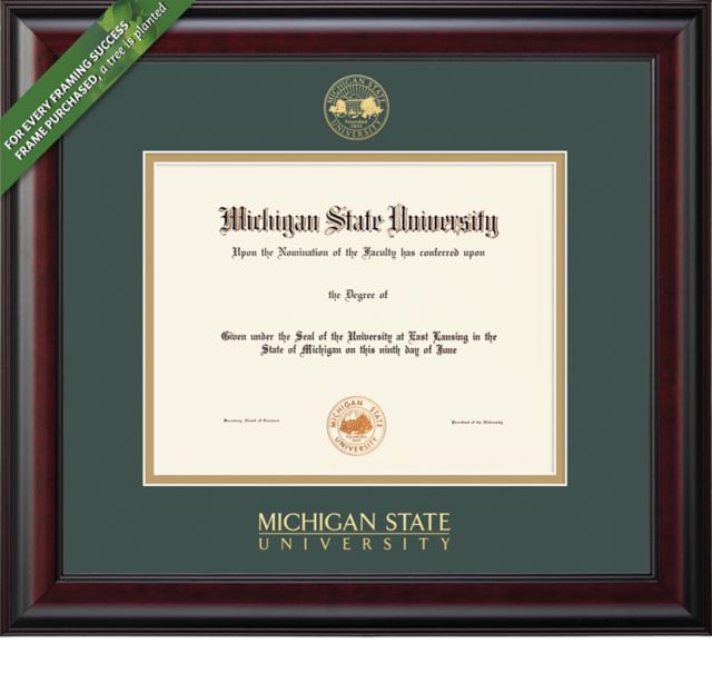 Framing Success Classic 12 x 15 PhD Diploma with Double mat