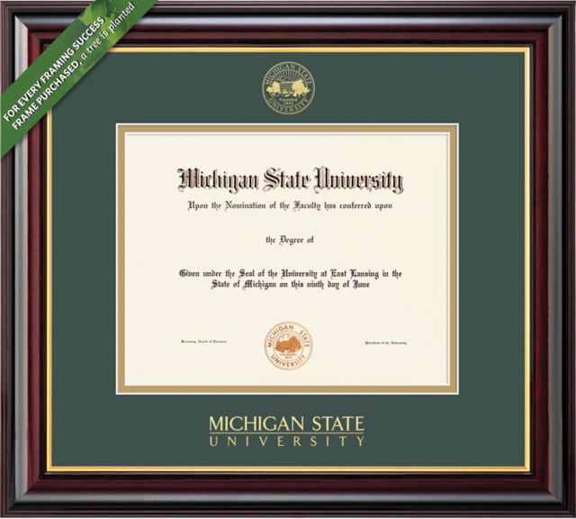 Framing Success Windsor 8.5 x 11 BA/MA Diploma with Double mat