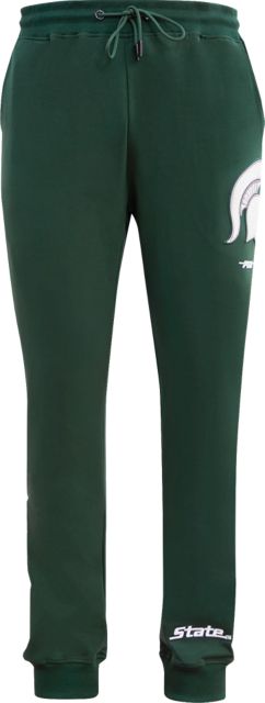 Michigan State University Michigan