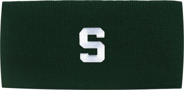Michigan State University Ear Band