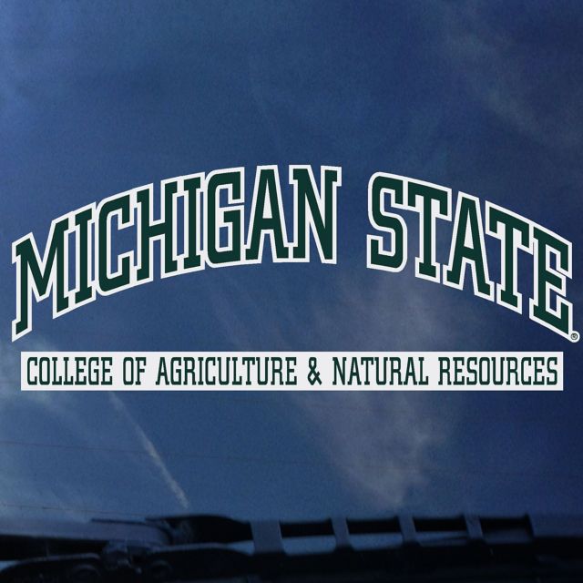 Michigan State University Decal