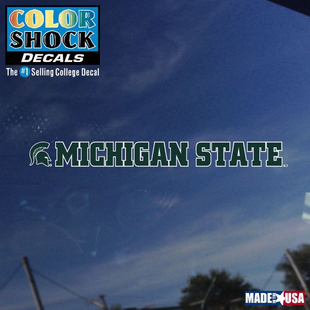 Michigan State University Spartans Strip Decal
