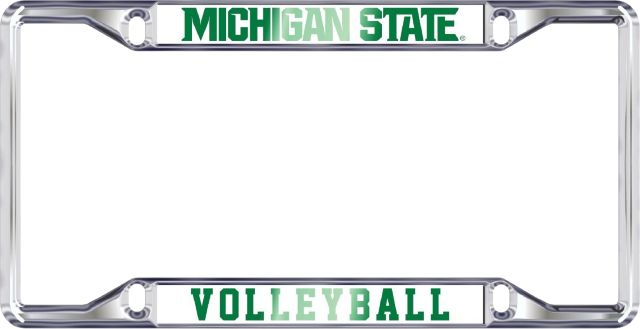 Michigan State University Volleyball Frame