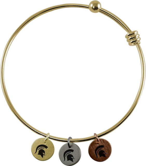 Alex and ani spartan on sale bracelet