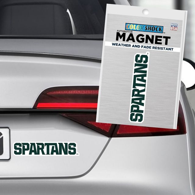 Michigan State University 4x4 Magnet