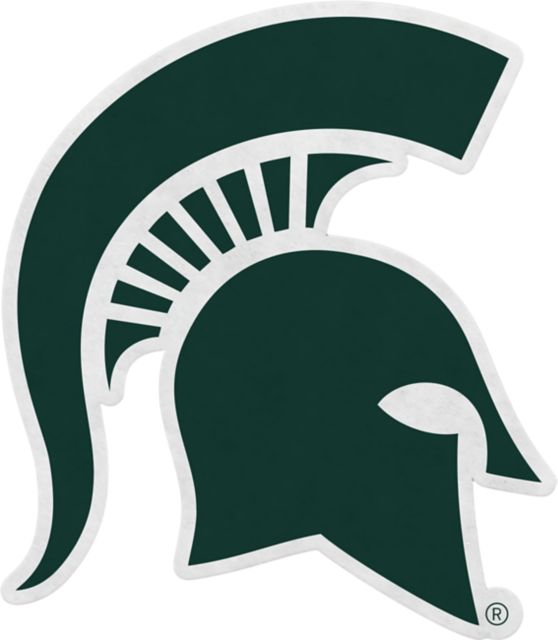 Michigan State University Spartans 18x18 Pennant