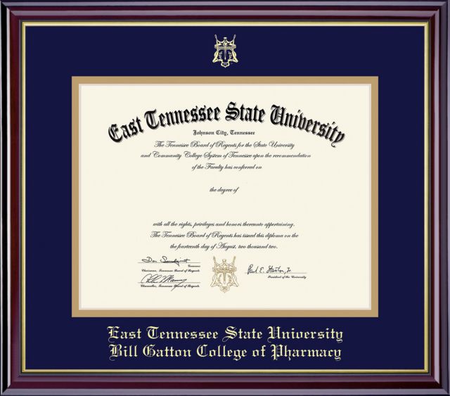 East Tennessee State University 14'' x 17'' Windsor Diploma Frame