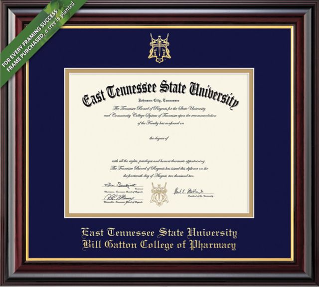 East Tennessee State University 14'' x 17'' Windsor Diploma Frame