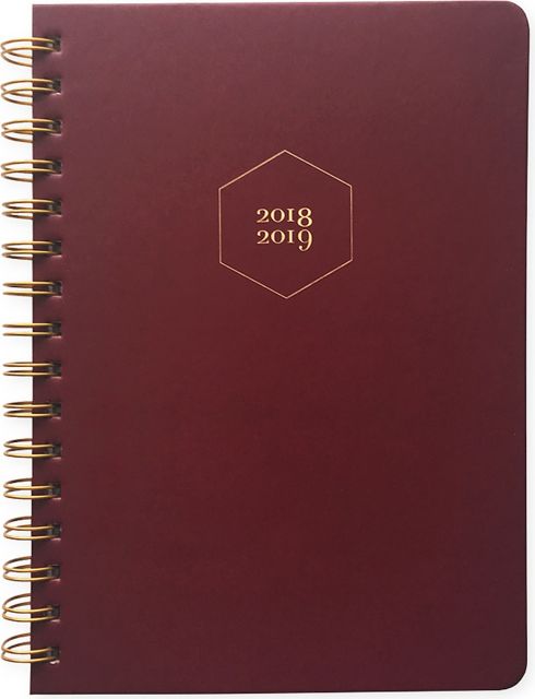Pierre Belvedere Academic Agenda Violet 2018-19