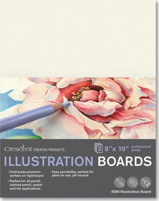 ILLUSTRATION BOARD #300 COLD PRESS SINGLE THICK 8X10 3-PACK