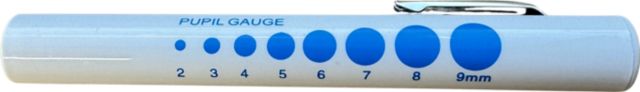 DISP PENLIGHT WITH PUPIL GAUGE