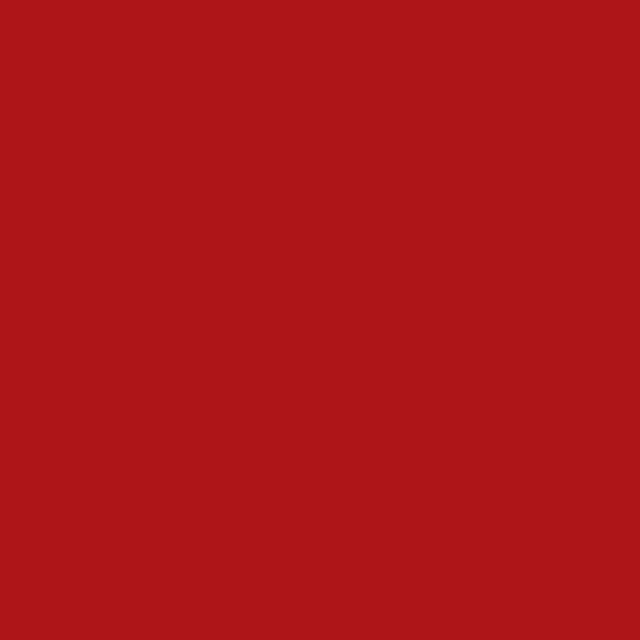VICE VERSA PAPER SHEET 20X27.5 220GSM CHERRY RED