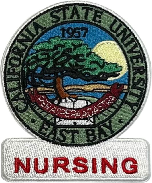CALIFORNIA STATE NURSING PATCH