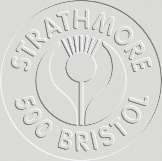 BRISTOL 2PLY PLATE 23X29