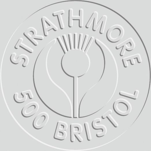 BRISTOL 2 PLY VELLUM 23X29