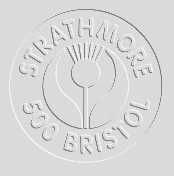 BRISTOL 4PLY VELLUM 23X29 - IN-STORE ONLY