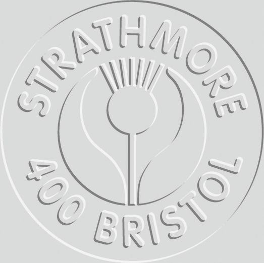 BRISTOL 4PLY VELLUM 22X30