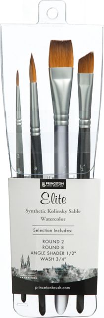 AQUA ELITE PROFESSIONAL BRUSH SET 4 COUNT