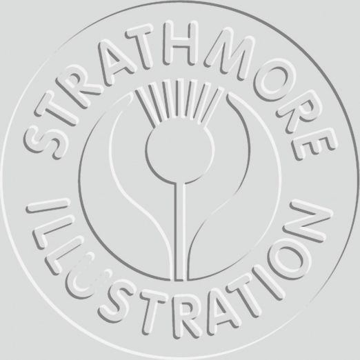 ILLUSTRATION BOARD LIGHT WEIGHT VELLUM 22X30