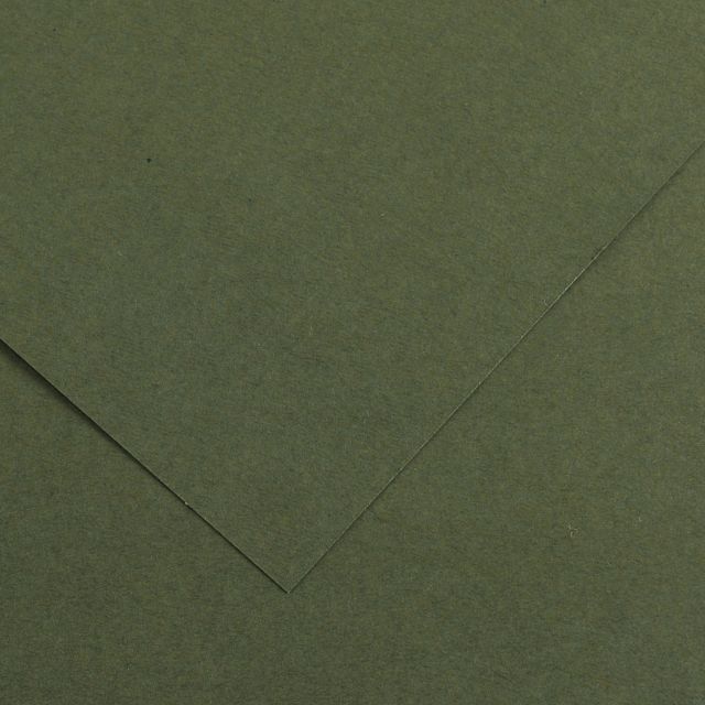Colorline Sheets 300Gsm 19X25 Khaki Green - In Store Only