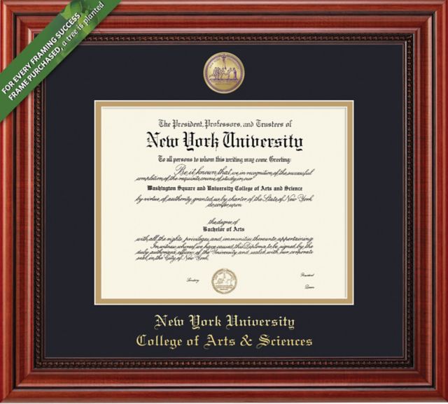 Framing Success Millennium 11.25 x 14.25 College of Arts & Sciences Diploma with Medallion & Double mat - ONLINE ONLY