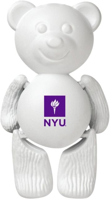 New York University Magnet