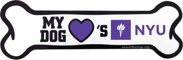 New York University Bone Magnet