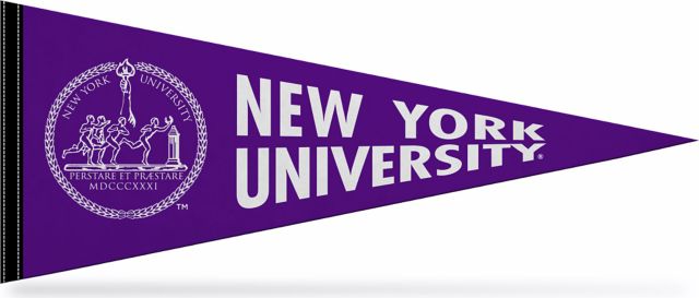 12''X30'' Full Color Pennant