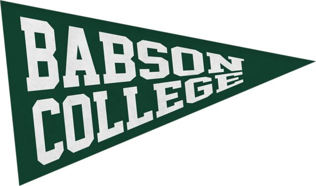 Babson College Mini Magnet Pennant