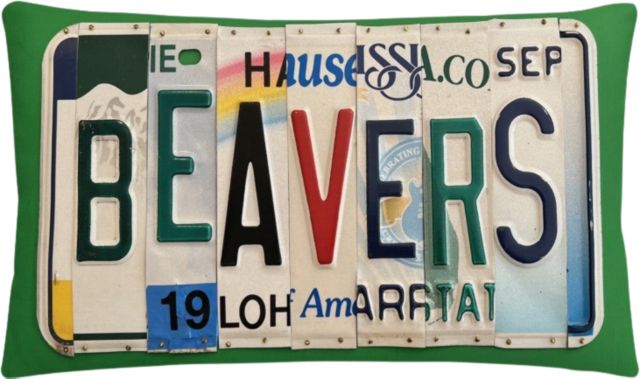 Babson College Pillow